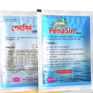 Penasin Aqua